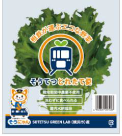 相鉄／自社栽培のブランド野菜「そうてつとれたて便」6店舗で9／21販売開始