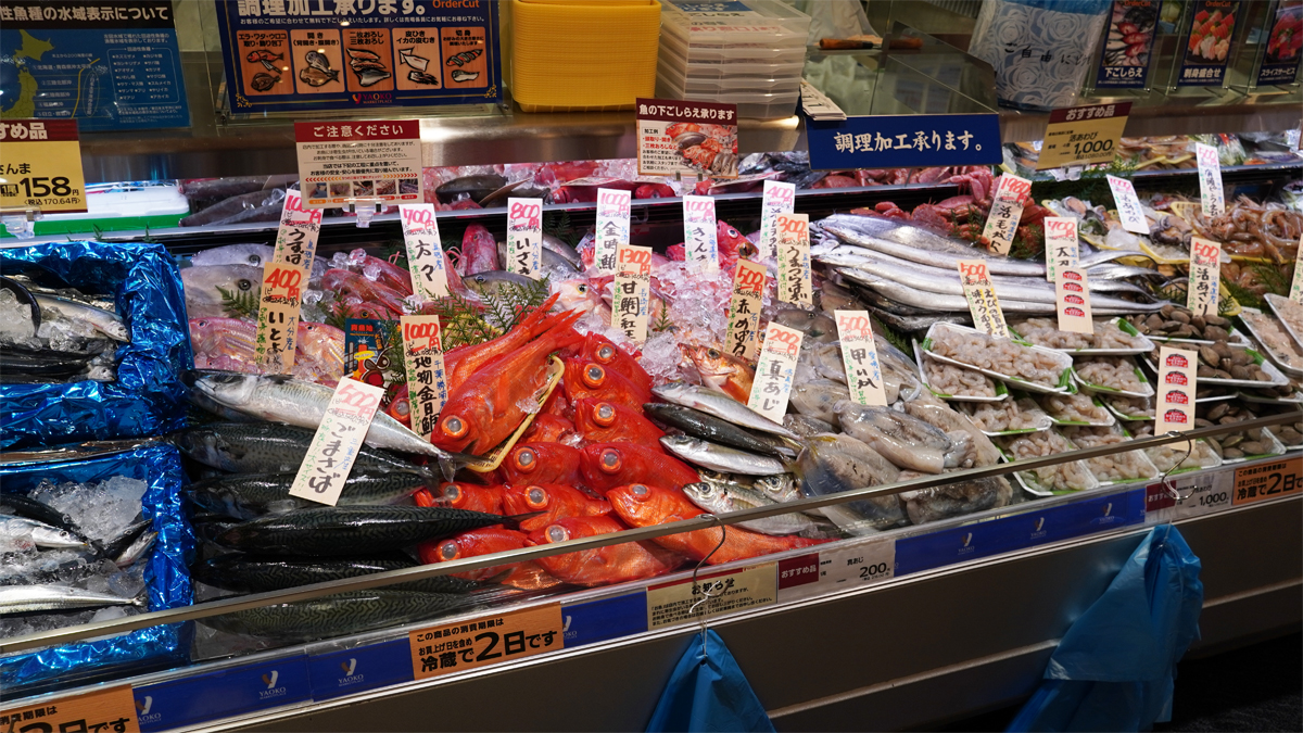 鮮魚売場