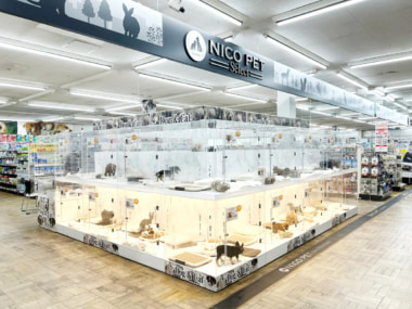 ビバホーム上尾店／ペットショップ「P’s-first」オープン