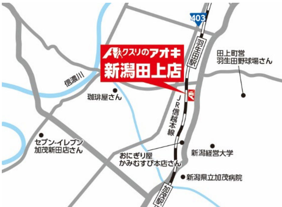 新潟田上店